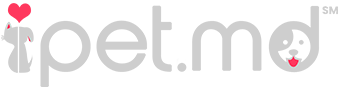 iPet.md, an initiative of Borderless Healthcare Group
